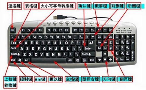 笔记本电脑的键盘上的省略号在哪里啊