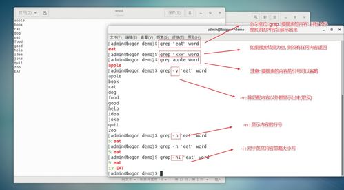 grep 命令与正则表达的协同使用