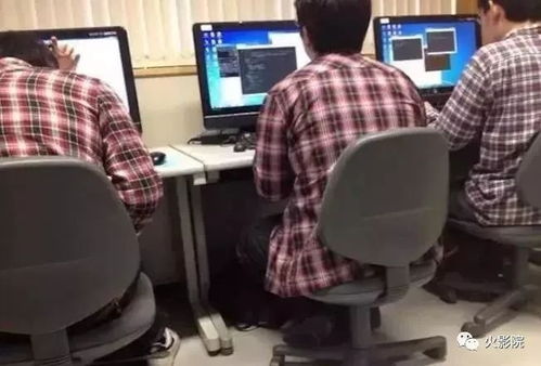 你认为程序员喜欢女生的表现是什么样的