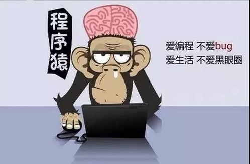 为什么都称程序员为程序猿反映了这个工种的哪些特质