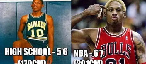 nba球员平均身高是多少