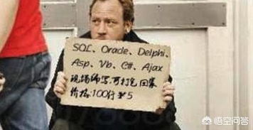 前端和后端程序员哪个需求量更大你怎么看