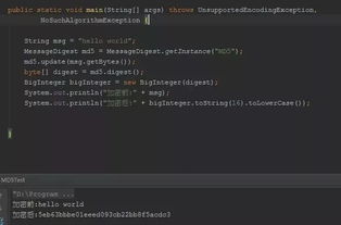 Java中如何使用MD5算法对数据就行加密