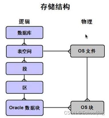 简要说明数据库的基本概念