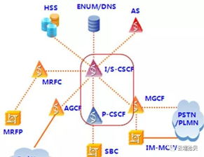 scops数据库全称是什么