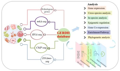 核酸序列数据库(genbank)和基因组数据库(ensemble)的区别