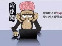 为什么都称程序员为程序猿反映了这个工种的哪些特质