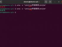 echo什么意思 解释echo在计算机编程中的含义