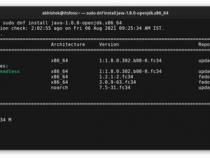 java开发在linux平台下吗