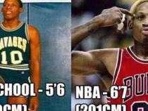 nba球员平均身高是多少
