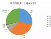 程序员转行能做什么