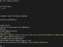 Oracle 19C更新时区补丁DSTV38