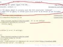 如何在 Vue.js 中使用第三方库