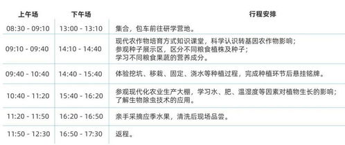 斯坦星球编程一年学费(斯坦星球怎么样)