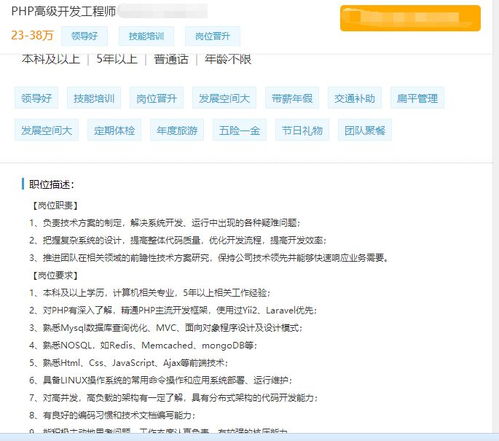 程序员招聘要求(程序员的要求)