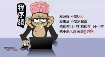 当程序员好不好