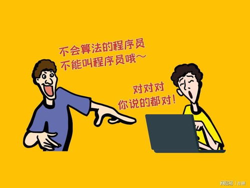 程序员是干嘛的