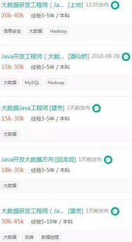 java的成熟领域有哪些呢