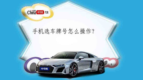 如何用手机选车牌号
