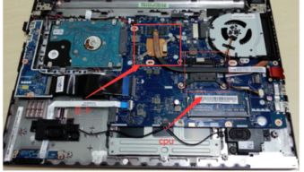 电脑独显卡是运行内存作用吗