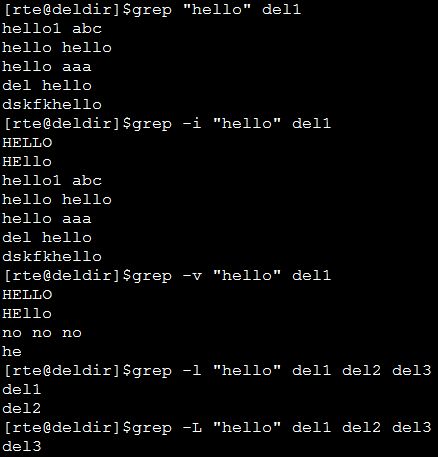 Linux正则表达式教程：Grep Regex示例
