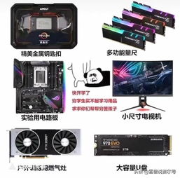 30系列显卡哪个性价比最高