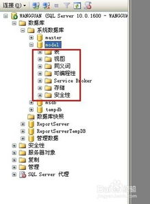 什么是model数据库