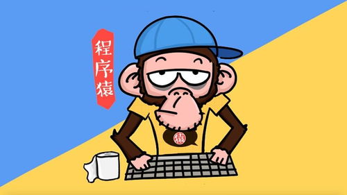 30岁转行做JAVA程序员有人要么