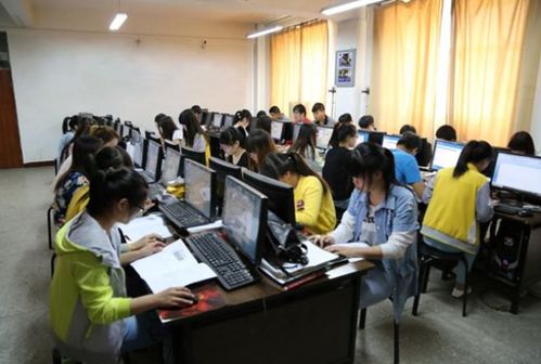 计算机专业毕业不想做程序员还能干什么呢