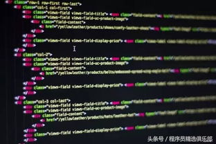 代码是什么和程序又有什么区别
