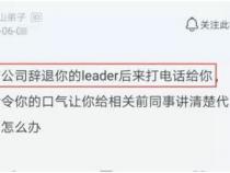 我一个程序员被公司间接辞退,我该怎么做