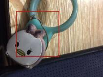 手机挂绳如何选购