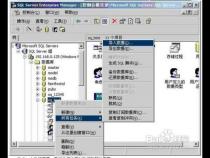 SQL 2000如何 导出数据库