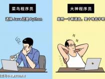 看看别的程序员是如何在家接活赚钱的经验啊