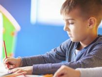7岁孩子适合学什么