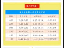 编程考级一共有多少级别啊