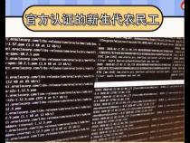你如何看待程序员被划为新生代农民工这件事