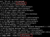 Linux下几种编程语言