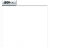 在VB中 如何实现模拟网页点击按钮的功能