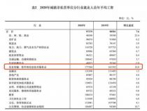 程序员这份工作未来的发展前景广阔吗