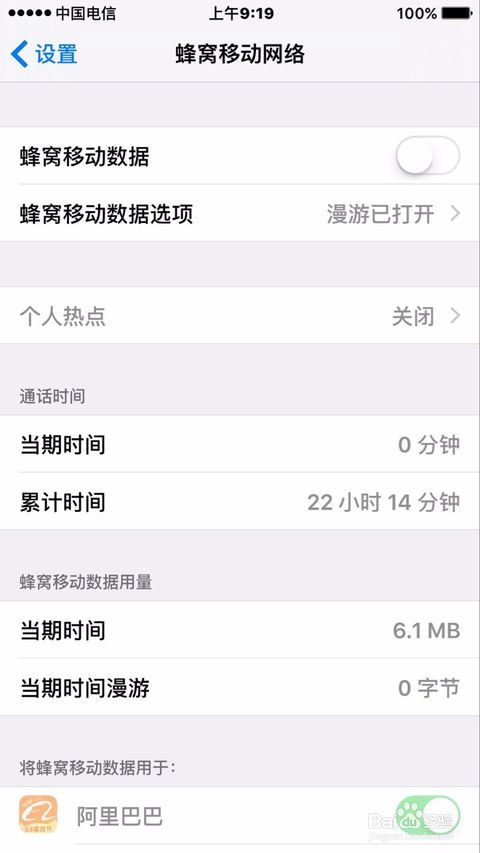 苹果手机蜂窝移动数据是什么意思