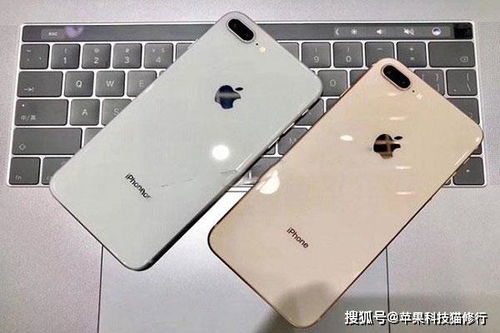 苹果手机自己乱点乱跳怎么办