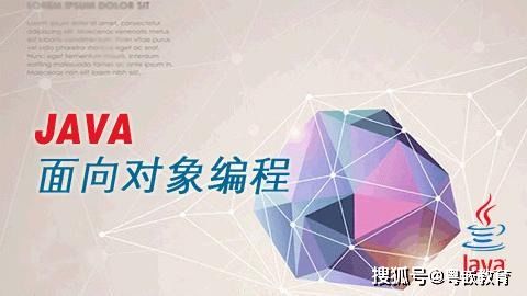 本科生为什么学Java