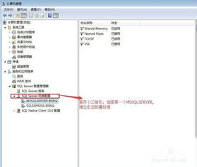sqlserver服务器名称有斜杠()怎么输入到C#工具里不报错