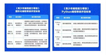 编程考级有什么用