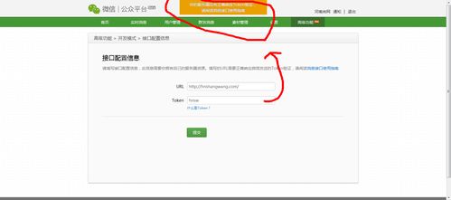 微信token怎么填写