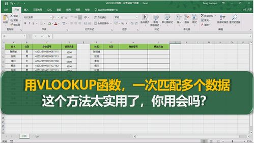 为什么我使用vlookup函数只能查找一个值