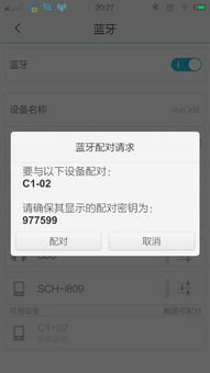 蓝牙是什么意思