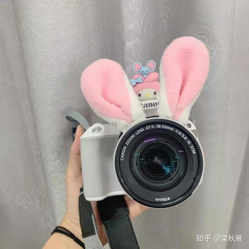 我想问一下佳能200d是什么意思