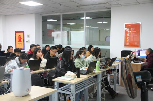 女生做程序员是什么体验